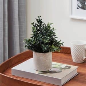 Plante artificielle en pot 18x23cm