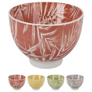Bol en porcelaine 16cm 4 assorties