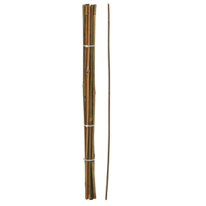 Set De 10 De Bâtons De Jardin En Bambou 60Cm