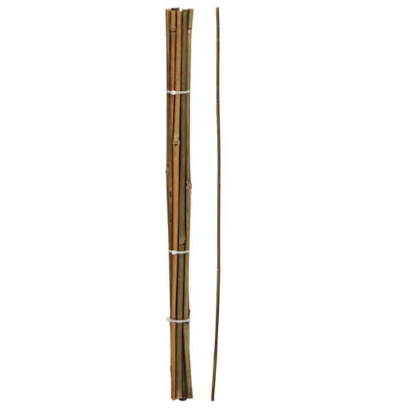 Set De 10 De Bâtons De Jardin En Bambou 60Cm
