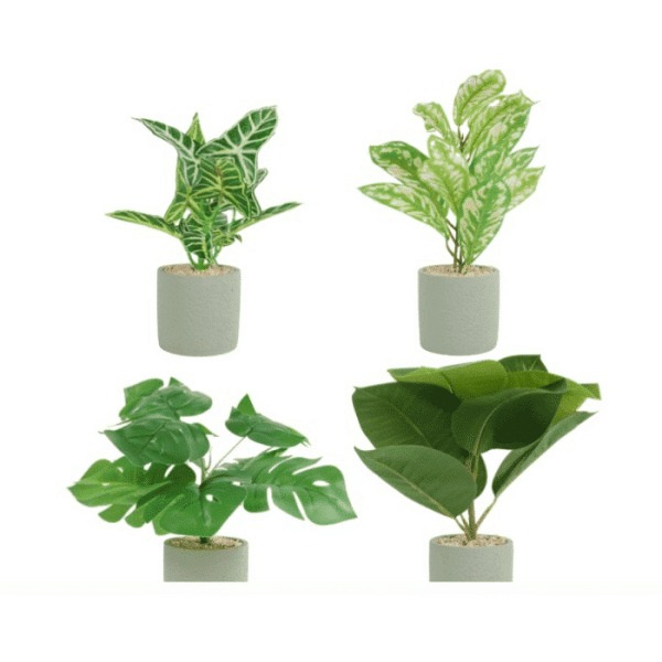 Plante artificielle en pot ciment 4 assorti 35 cm