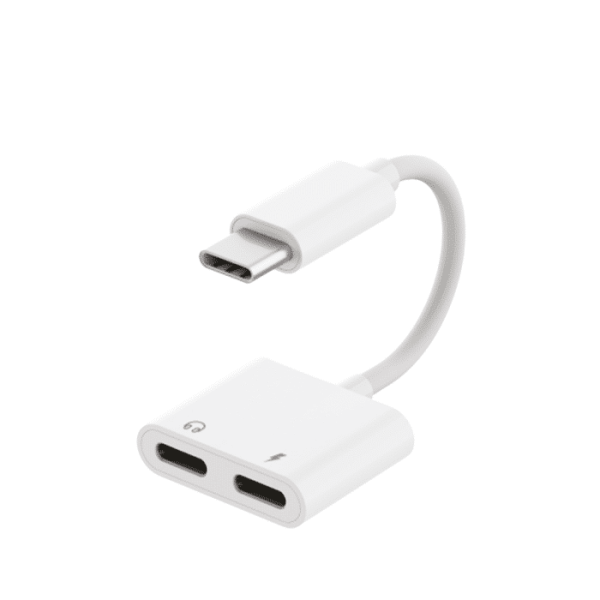 Adaptateur type-C/type-C + type-C REVOOX