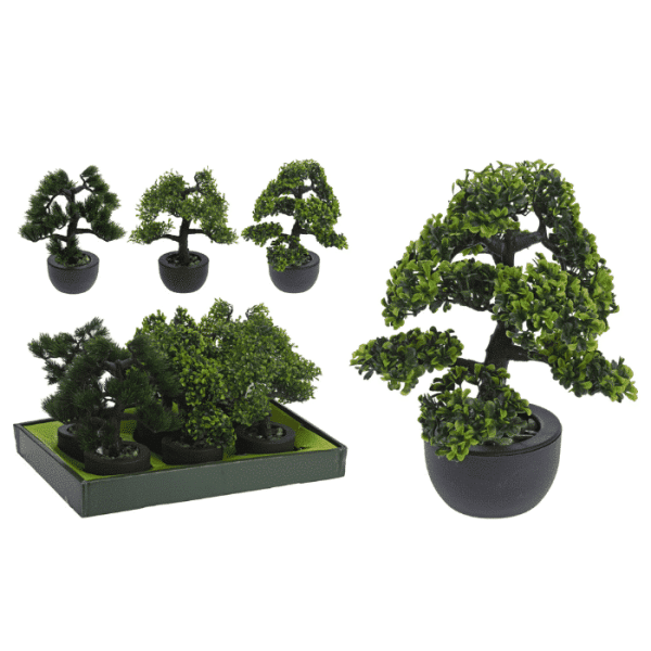 Arbre bonsai en pot 31cm 3 assorti