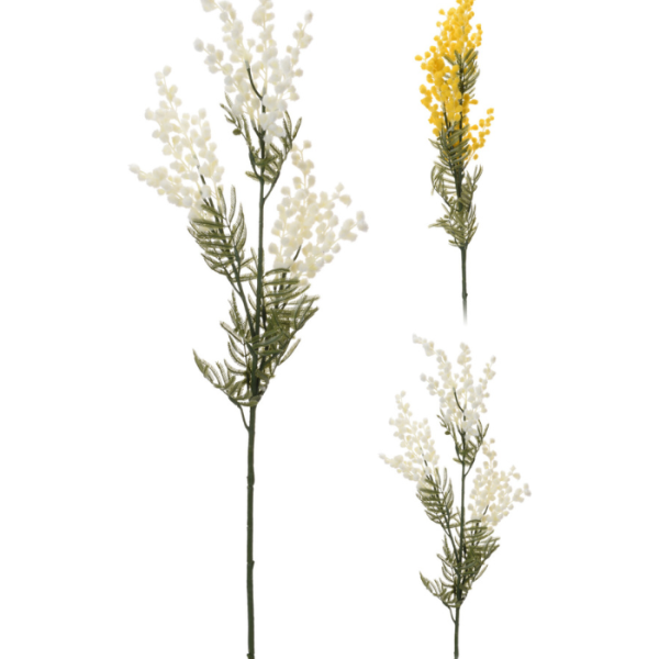 Branche d'acacia farnesiana 85cm