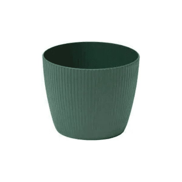 Pot De Fleur Magnolia Jumper 19 Cm Vert