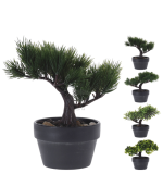 Bonasi artificiel en pot noir 15x15x10cm 4 assorti