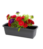 Bona balcony box 50 cm Anthracite