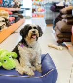 Gel debouche ouragan 1L WC NET – Image 3