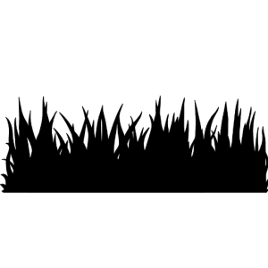 pan