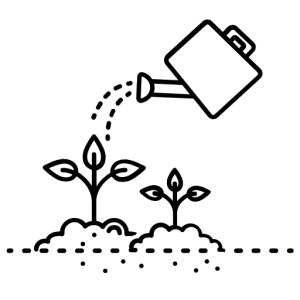 plantation