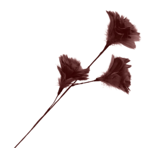 Branche artificielle de fleurs en plumes bordeaux 80 cm