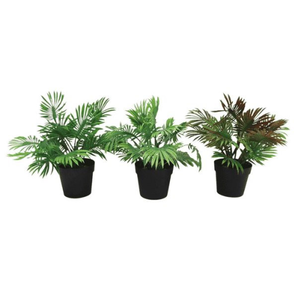 Plante artificielle palm en pot plastique 26cm 3 assorti