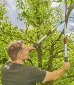 Coupe-branches TeleCut basic 650-900mm 45 mm