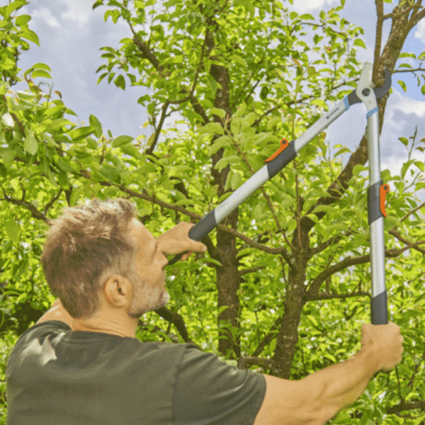 Coupe-Branches Telecut Basic 650-900Mm 45 Mm