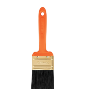 Brosse Professionnelle Avec Manche En Plastique 76 Mm