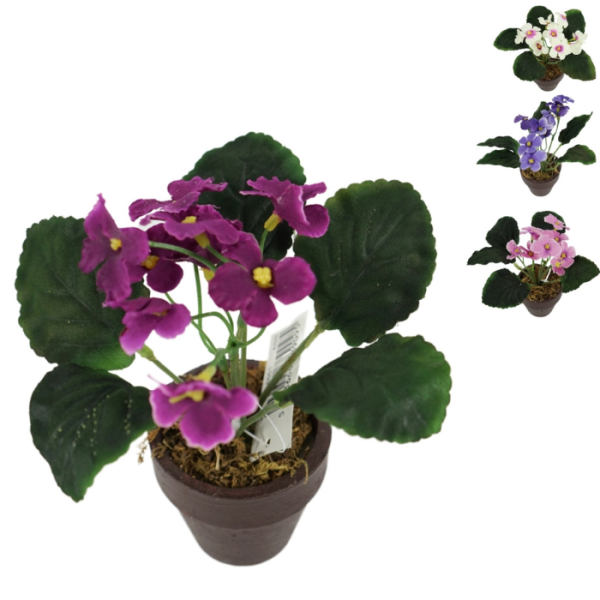 Plante artificielle cape violet en pot 16 cm 4 assorti