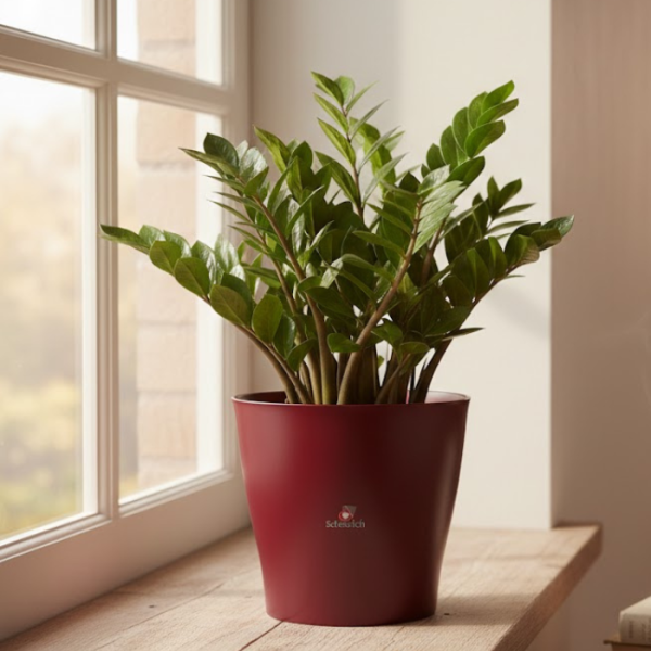 Pot plastique rouge