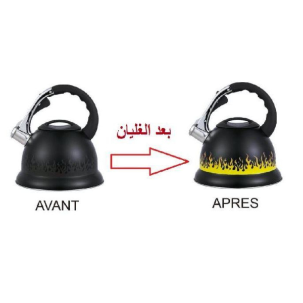 Bouilloire 3L