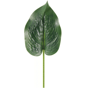 Feuille artificielle hosta quince l vert 42 cm