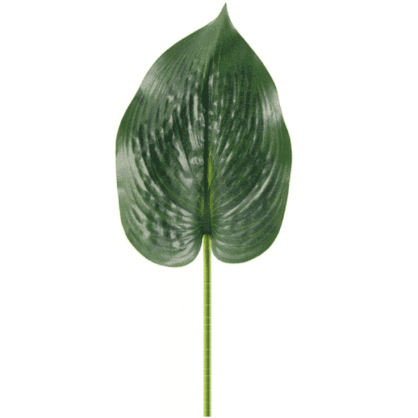 Feuille artificielle hosta quince l vert 42 cm