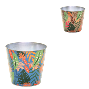 Pot De Fleurs Bob Jungle S 11 Cm 2 Assortis