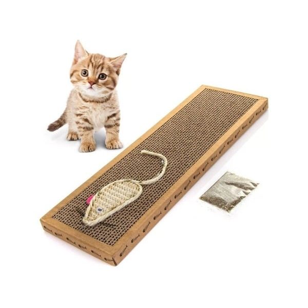 Griffoir Pour Chat