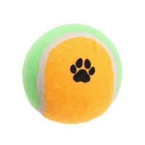 Balle pour chien de 10 cm