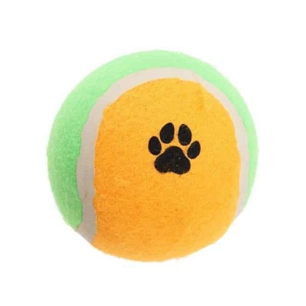Balle pour chien de 10 cm