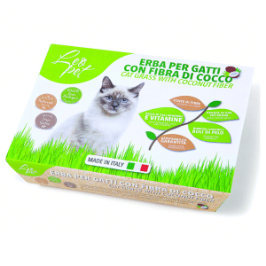 Herbe à chat avec fibre de Coco
