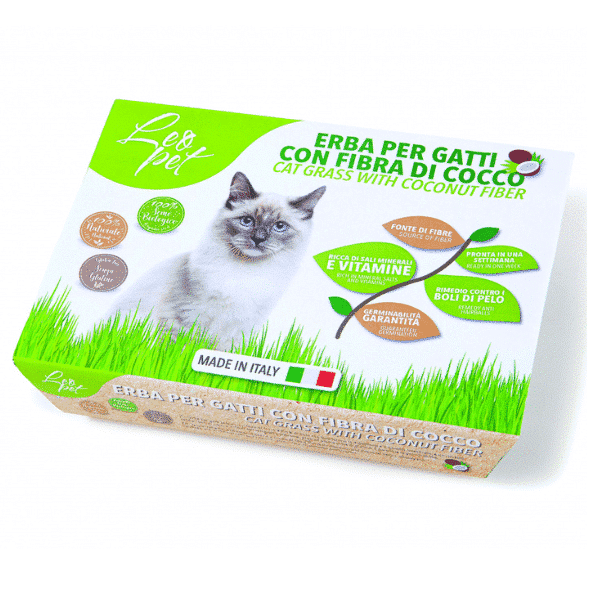 Herbe à chat avec fibre de Coco