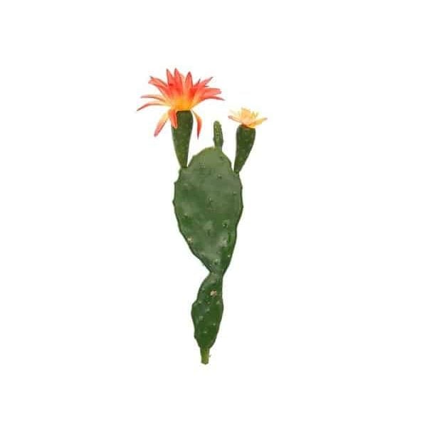PLANTE ARTIFI CACTUS DISQUE+FLEUR ORANGE/VERT 22CM