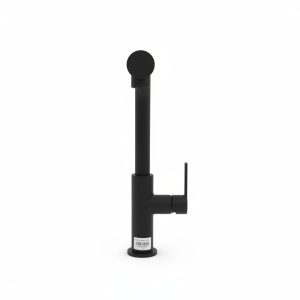 Mitigeur de cuisine Maris Slim L Pull-Out Noir Mat Franke