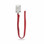 Laisse en Nylon Rouge XS-S 120x1,5 cm Love Story