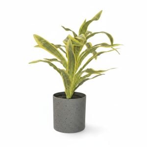 Plante artificielle Sansevieria en pot cylindrique gris granit