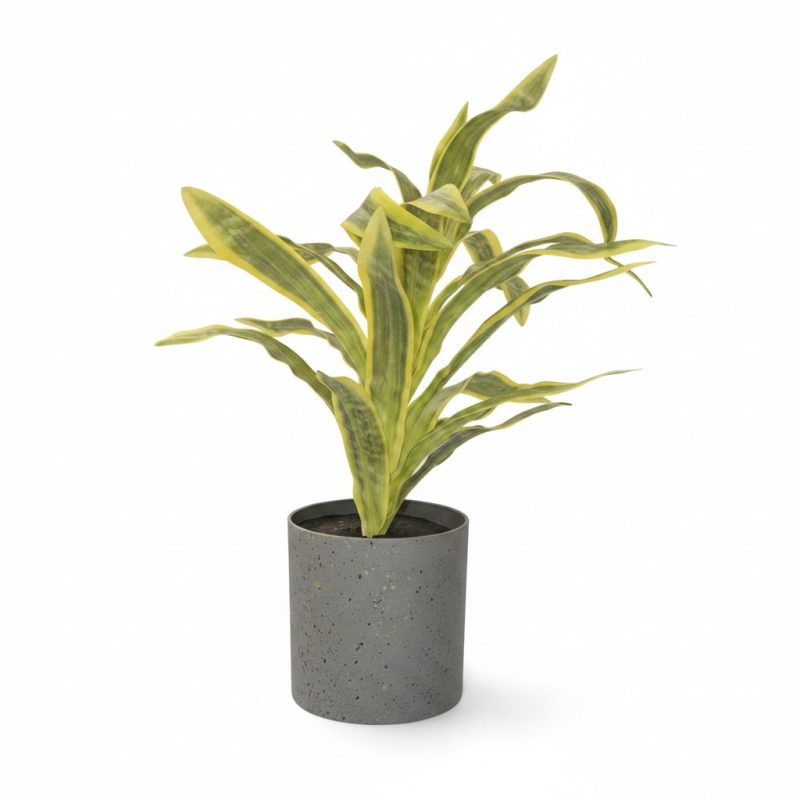 Plante artificielle Sansevieria en pot cylindrique gris granit