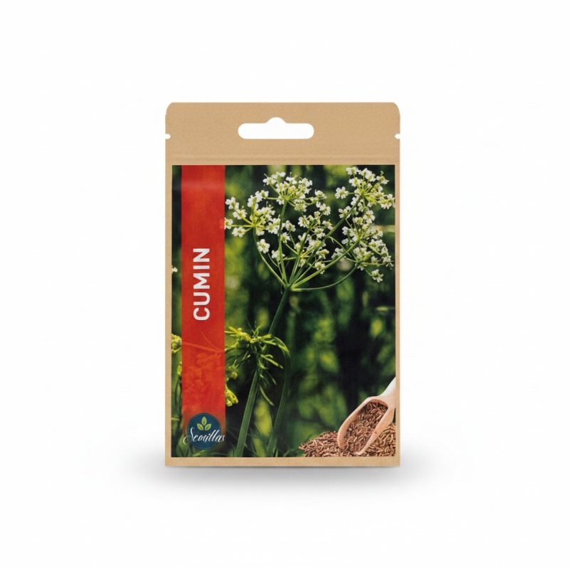 9346371 Sachet de Graines de Cumin à semer Semillas 3g