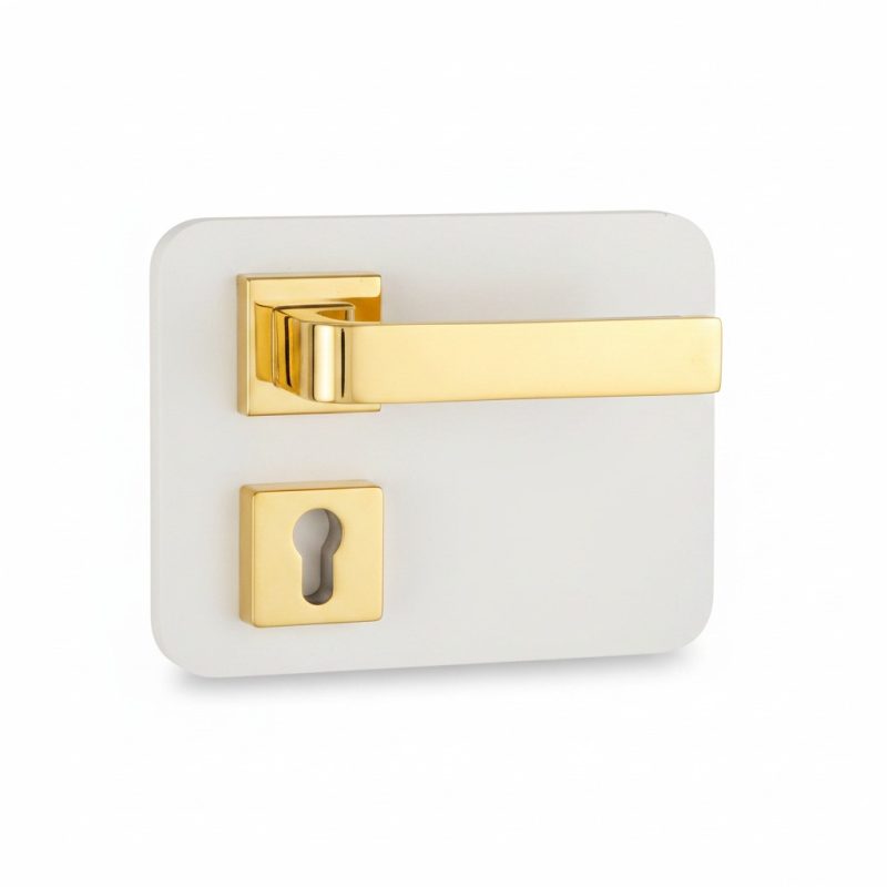 Poignée de Porte Nobel Bartin Doré Brillant sur Rosace