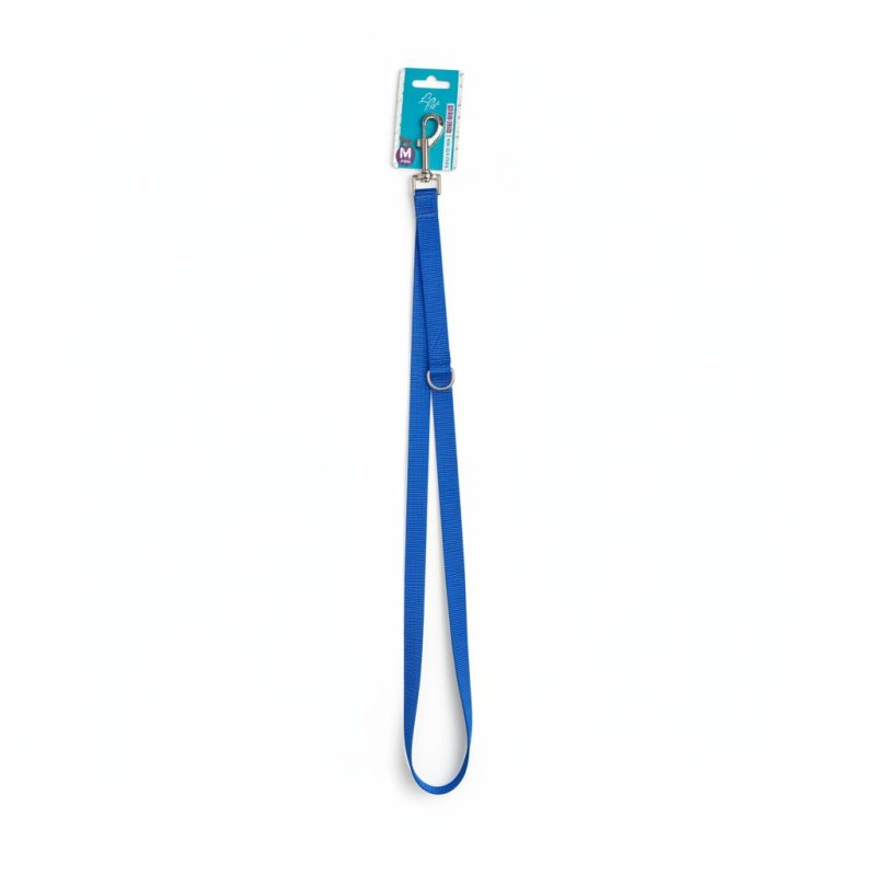 Laisse en Nylon Bleu Aliz M 120x2,0 cm pour Chien