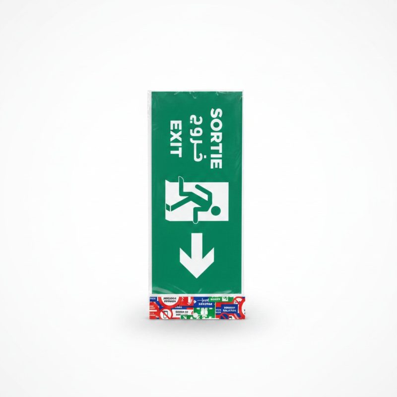 Plaque de signalisation Sortie multilingue flèche vers le bas