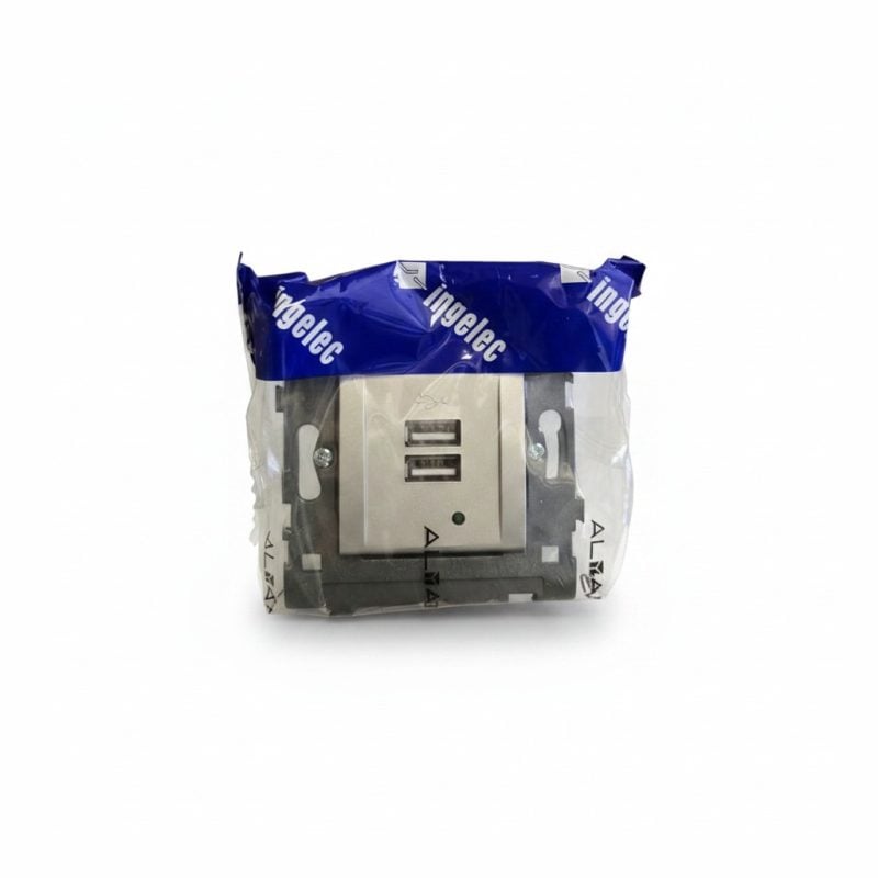 9254391 Chargeur USB Double Mural Gris Alyans Ingelec M4905/2GS