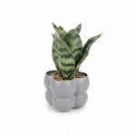 Fleur Artificielle Sansevieria en Pot Nuage Gris Clair