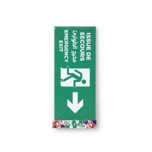 Panneau Signalétique Issue de Secours Flèche Bas Adhésif