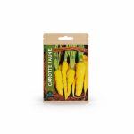 Sachet de graines de Carotte Jaune 3g Semillas