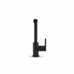 Mitigeur de cuisine LINA L Swivel Noir Mat Franke