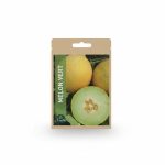 Graines de Melon Vert type Cantaloup Semillas 2g