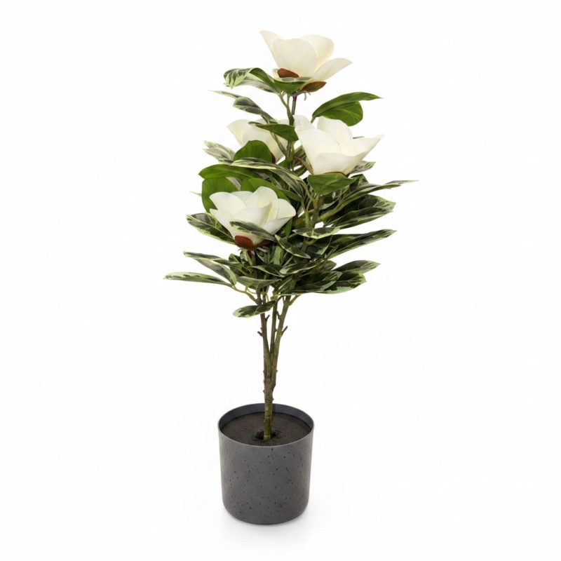Plante Artificielle Magnolia Blanc en Pot Gris