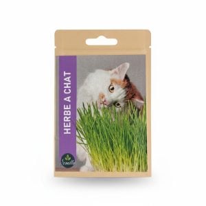 Graines d'herbe à chat 5g Semillas pour digestion facile