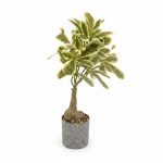 Plante Artificielle 30 cm Feuilles Panachées en Pot Gris