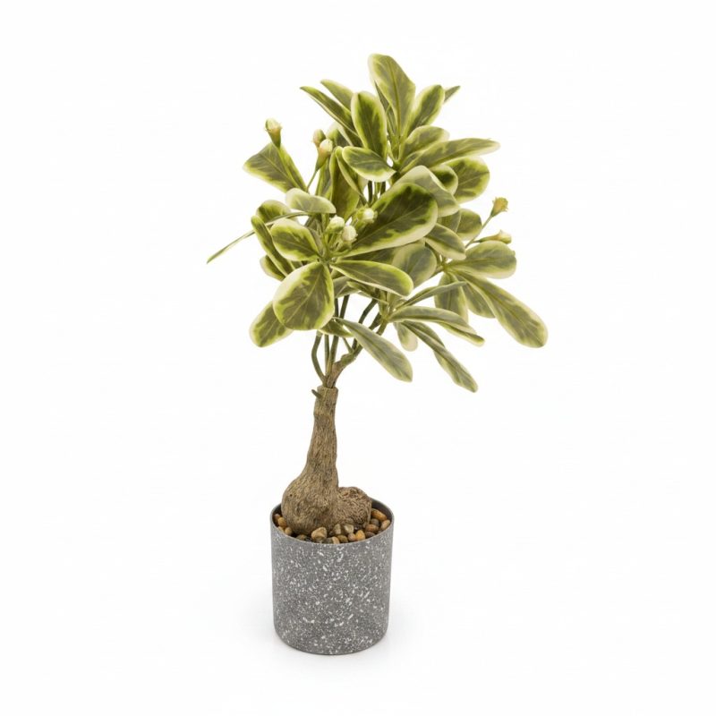 Plante Artificielle 30 cm Feuilles Panachées en Pot Gris