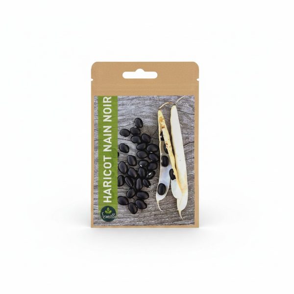 Graines de Haricot Nain Noir Semillas 4g